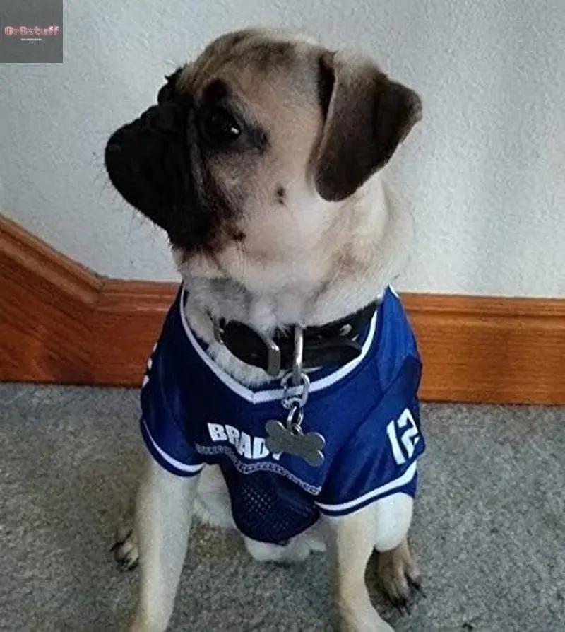 Klippy Pet Tag Quick Clips - Cat & Dog Collar for ID Tags Holder Efficient Ring Attachment Clip for Safety - Silver, 2 Pack.